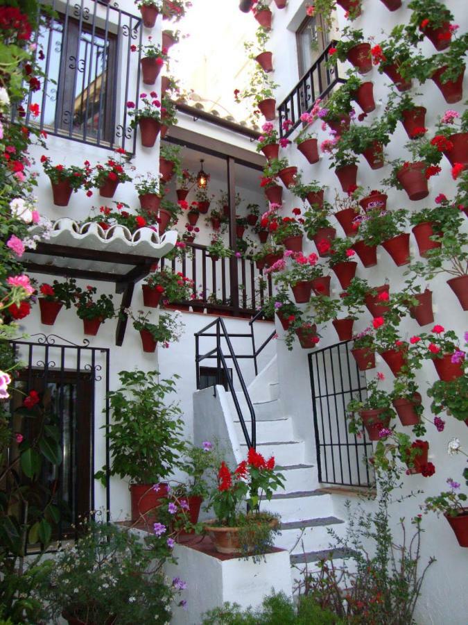 El Balcon De La Juderia Apartment Kordoba Bagian luar foto